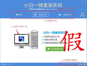 小白一件重装系统