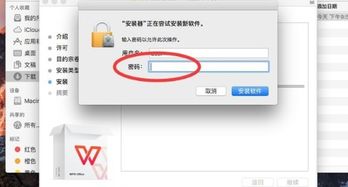 苹果系统办公软件怎么选