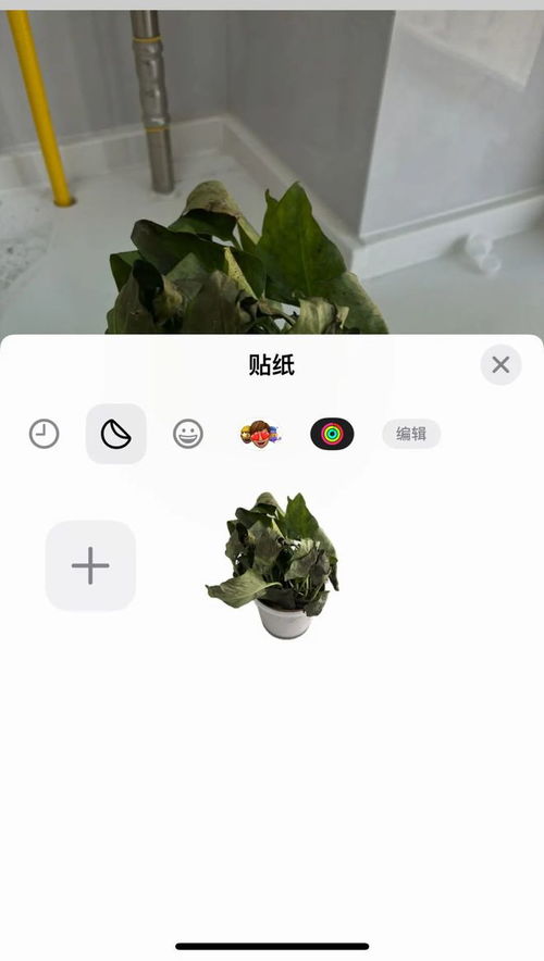 苹果自带壁纸原图在哪怎么找怎么设置