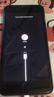 苹果手机重启有哪些实用方法？
