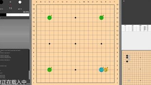 选围棋软件该看什么 按需