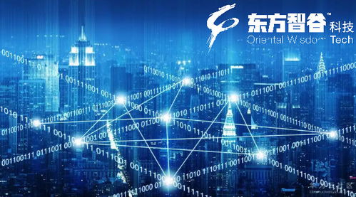 CNNIC是什么机构 它的职责