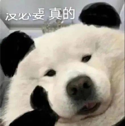 微信到底有什么用 从社交