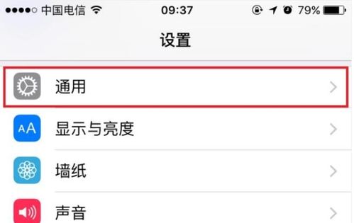 苹果手机蜂窝移动网络打