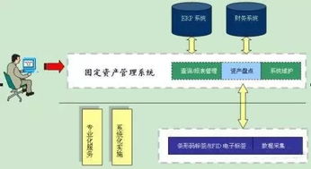 女性生殖系统的结构与相