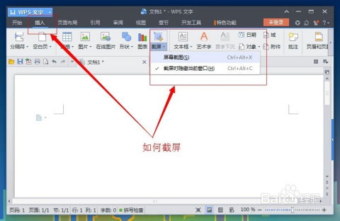 Windows电脑有哪些实用的截