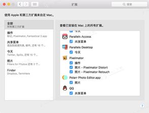 超级AI抠图软件适配Windo