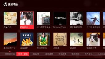 华数电视信号调整与网络