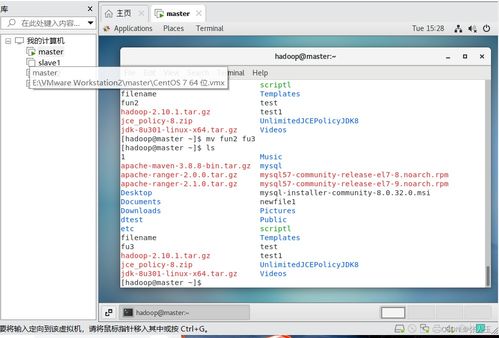 Linux文件系统核心知识与常用命令是什么？