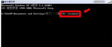 黑鲨系统重装怎么样 黑鲨装机靠谱吗
