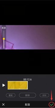 手机视频配音选什么免费