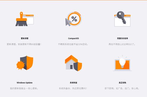 Windows办公必备工具与软件