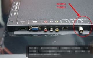 数字电视连不上无线网怎