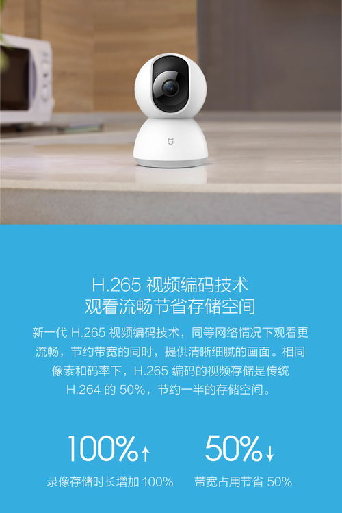 360网络监控