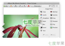 管理相册的软件