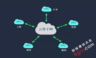 中云网络