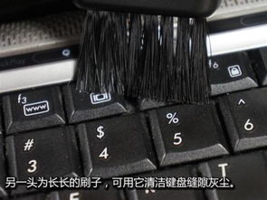 电脑顿号怎么打出来
