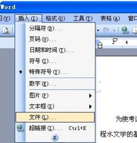 电脑word文档