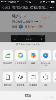 微信分身版苹果