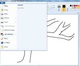 用什么软件画图