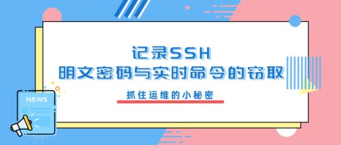 sn查询系统