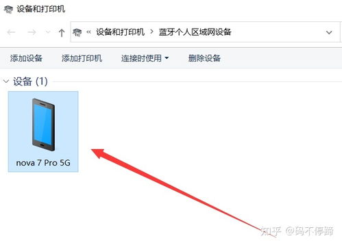 电脑有网wifi没网