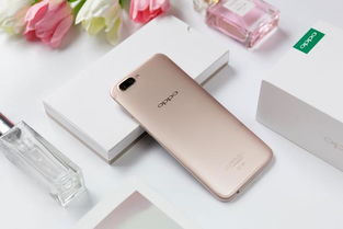 oppo手机的系统