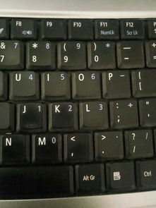 电脑键盘数字键打不出该