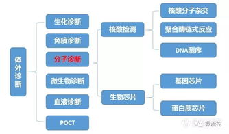 操作系统的发展经历了哪些关键阶段？从传统到