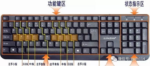 电脑键盘上的暂停键是哪