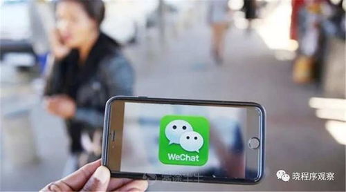 微信是谁研发的 答案是张