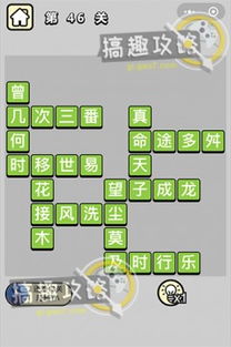 网络新词有哪些常见类型