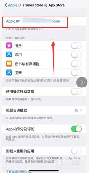 苹果系统怎样下载软件