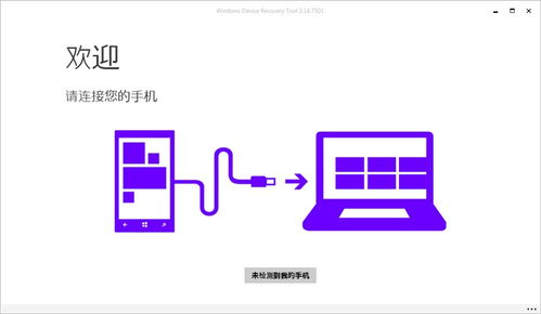 本系统只支持微软