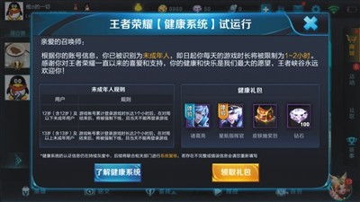 王者荣耀成年人与未成年