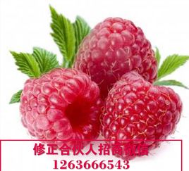 树莓派能替代台式计算机