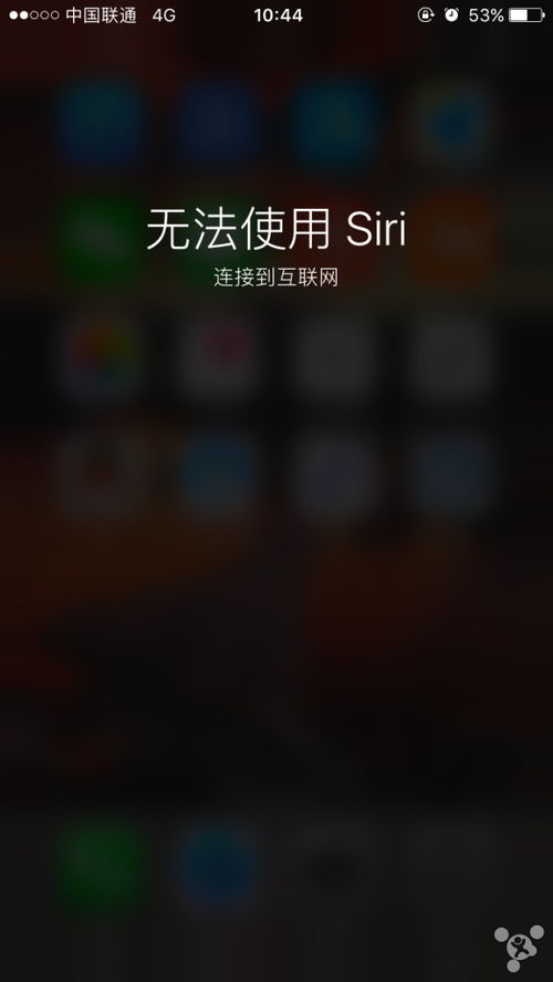 苹果手机Siri无法连接网络