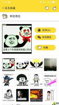 什么是实用的表情包软件
