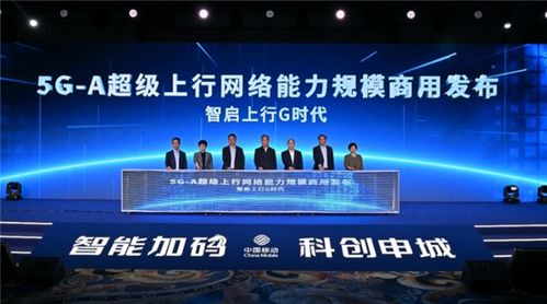 网络科技有限公司是什么