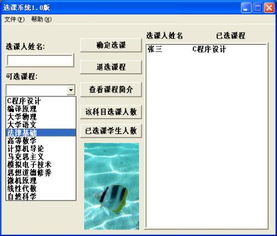 软件界面制作