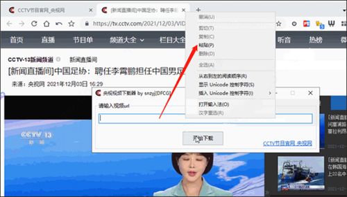 有哪些实用的视频下载软