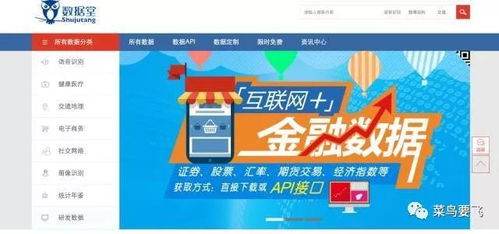 什么是社交电商与商务社