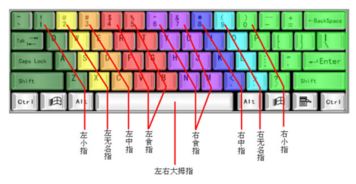 电脑软件键盘在哪里 如何