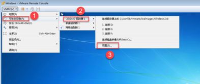 应用虚拟化软件只需要购
