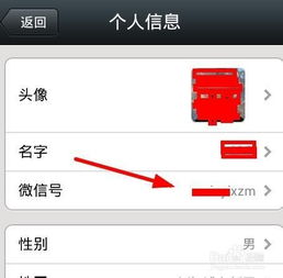 苹果手机共用一个ID能登录对方微信抖音吗 及微