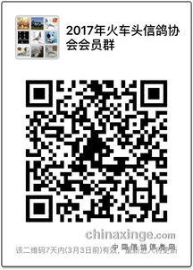 如何通过微信群二维码分