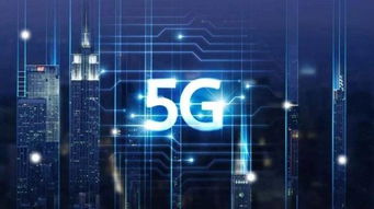 红米手机2支持哪些4G网络