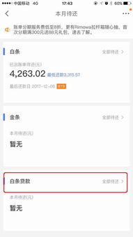京东白条能通过微信还款