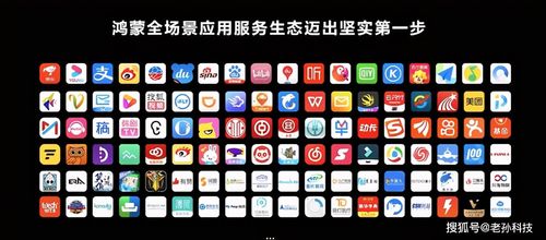 系统之家官网是多少
