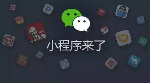 网络上的割韭菜、灰色产